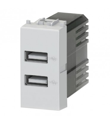 Doppel-USB-Steckdose 4Box 2,4A für Bticino Livinglight grau 4B.NT.USB.24