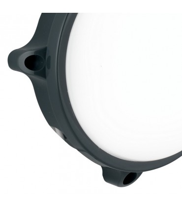 LED-Deckenleuchte Fan Europe 15W IP65 4000K anthrazit LED-EVER-S ANT