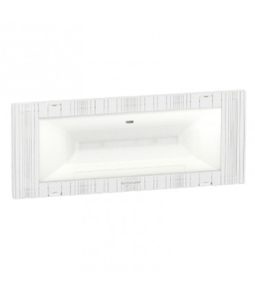 Schneider SE 11/1NC EASYLED IP42 Notleuchte OVA38355