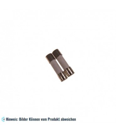 Sicherung Mikrowelle 12,5 A (5 x 20 mm)