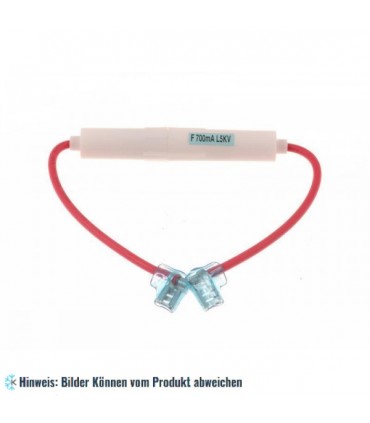 Sicherung Mikrowelle VN 1,00 A / 5 kV