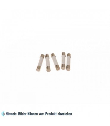 Sicherung Mikrowelle 6,3 A (6,3 x 32 mm)