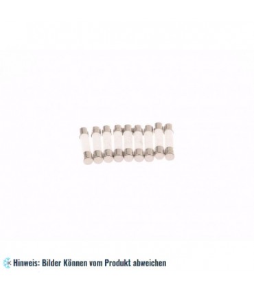 Sicherung Mikrowelle 10 A (6,3 x 32 mm)