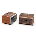Mini Retro Design Bluetooth-Lautsprecher und FM-Radio W06 Hellbraun