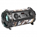 Bluetooth Lautsprechre SoundTube Karaoke Stereo LED 8Std REBELTEC - Grün