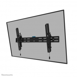 More about Neomounts by Newstar Select TV-Wandhalterung, 109,2 cm (43 Zoll), 2,49 m (98 Zoll), 100 x 100 mm, 800 x 400 mm, 0 - 12°, Schwarz