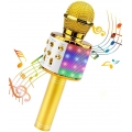 Pyzl Kabelloses Karaoke-Mikrofon. Tragbares Karaoke-Bluetooth-Mikrofon für singende Kinder/Erwachsene. Kompatibel mit Android/IO
