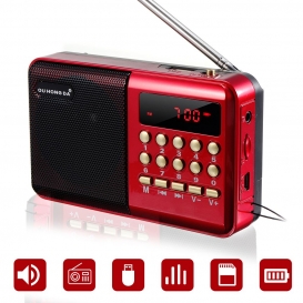 More about Tragbarer FM Radio Kleines Radio mit Lautsprecher, Kopfhörerbuchse MP3 Player Matteriebetrieben mit USB-Ladekabel