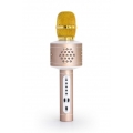 Technaxx PRO BT-X35 - Karaoke-Mikrofon - 1% - 4 Ohm - 2,5 mW - Verkabelt & Kabellos - Bluetooth/3.5  Technaxx