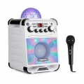 AUNA Rockstar - Karaoke-Anlage, Mini-Sound-System, Karaoke-System, LED-Jellyball, AVC-Funktion, Echo-Effekt, Bluetooth, CD, CD-R