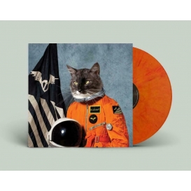 More about Klaxons - Surfen die Leere Orange Vinyl