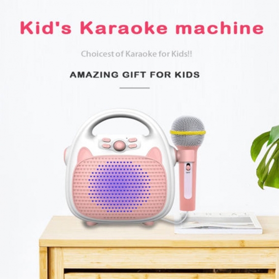 2 Stück Kids Karaoke Machine Spielzeug2-teiliges Datenkabel2 Stück Handbuch