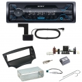 Sony DSX-A510BD Bluetooth Digitalradio USB AUX Einbauset für Ford KA RU8