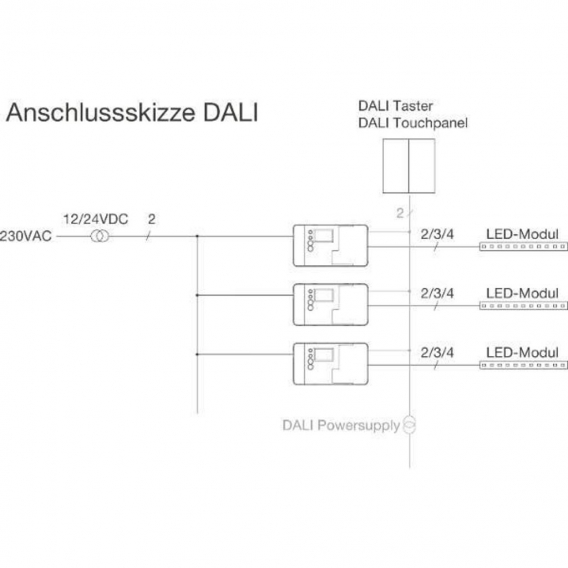 BILTON Controller BASIC DALI/Switch12-24VDC 240W IP20 4Kanal 2,5A/Kanal