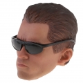 1/6 Maßstab männlicher Kopf für Action Figur Mann Farbe Braun mit Brille