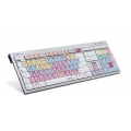 Logickeyboard LKB-PT-AJPU-FR - Standard - Verkabelt - USB - AZERTY - Mehrfarbig