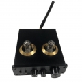 6J1 Mini Röhrenvorverstärker HiFi Stereo Vorverstärker Höhen Bass Kontroll