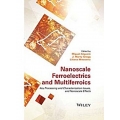 Nanoscale Ferroelectrics and Multiferroics