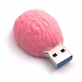 Onwomania Gehirn Hirn Denkvermögen rosa USB Stick USB Flash Drive 8GB Usb 3.0