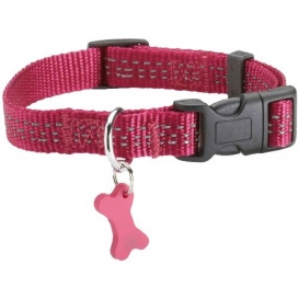 More about Bobby Safe Collar, Size 10, Fuchsia