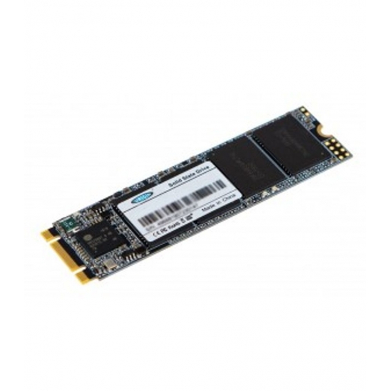Origin Storage NB-2563DSSD-M.2 unități SSD 256 Giga Bites ATA III S