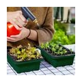 10 Set Seed Trays Saemling Starter Tray (12 Zellen pro Tablett) mit verstellbaren Kuppeldeckeln und Base Plus Plant Tags Handwer