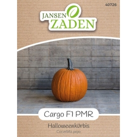 More about Halloweenkürbis Cargo F1 PMR | Halloweenkürbissamen von Jansen Zaden