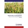 Hybrid Rice in Bangladesh