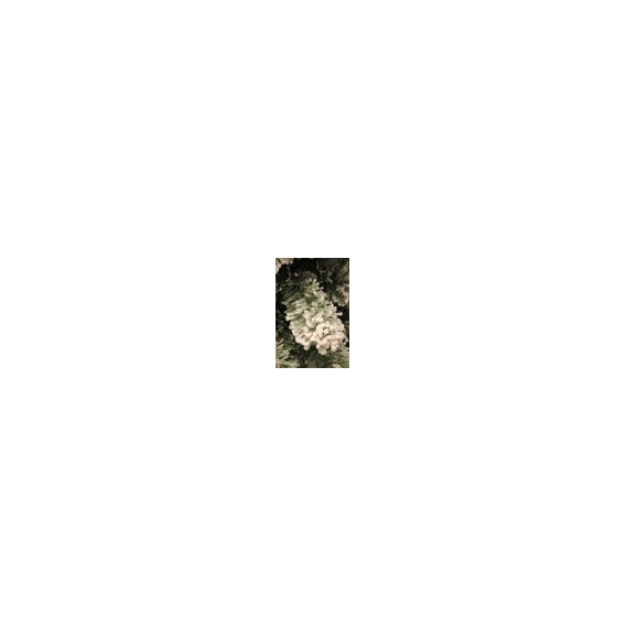 Black Box kunstkerstboom millington maat in cm: 215 x 119 besneeuwd groen