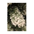 Black Box kunstkerstboom millington maat in cm: 215 x 119 besneeuwd groen