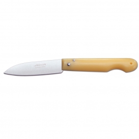 More about Profi-Messer Arcos 485900 aus NITRUM® Edelstahl, mango aus gelbem Polypropylen und 8,5 cm Klinge in einer Präsentationsbox.