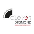 Clever Diamond HM Kreissägeblatt 'BAUSA'350x3 2x30mm 24 Zähne