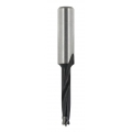 ENT 24002 Dübelbohrer HW (HM), Schaft (C) 8 mm, Durchmesser (D) 8 mm, NL 30 mm, GL 57 mm, speziell für die Oberfräse