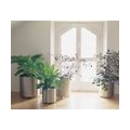 Graepel G-Line Pro NAXOS Blumenübertöpfe aus poliertem Edelstahl 1.4016, 6 Größen, Größe Graepel:b 25 x h 25 - Liter 12
