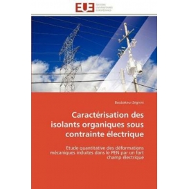 More about Caractérisation des isolants organiques sous contrainte électrique
