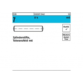 More about Zylinderstift DIN 7 10 m6 x 55 A 4 DIN 7