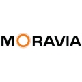Moravia Fahrbahnschwelle Normelemschwarz Topstop 20