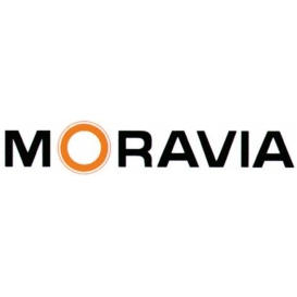 More about Moravia Fahrbahnschwelle Normelemgelb Topstop 20