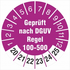 More about 200 Prüfetiketten  nach DGUV Regel 100-500 30 mm Prüfplaketten 2020-25