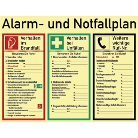 More about Schild Alarm-u.Notfallp. 620x480mm z.Selbstbeschriften nachleuchtend