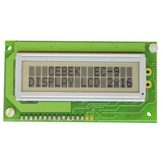 EC9 Benutzerdefinierte LCD 12V