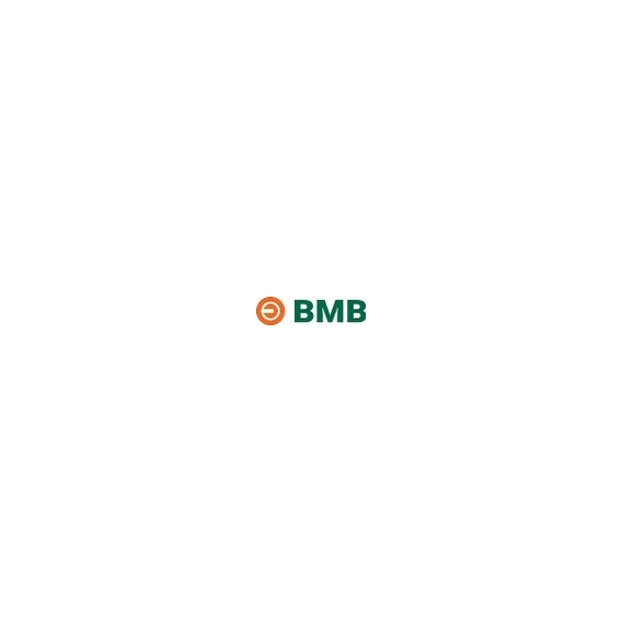 BMB Möbel-Druckzylinder System 600 verschiedenschließend Zamak vernickelt - 1111061000