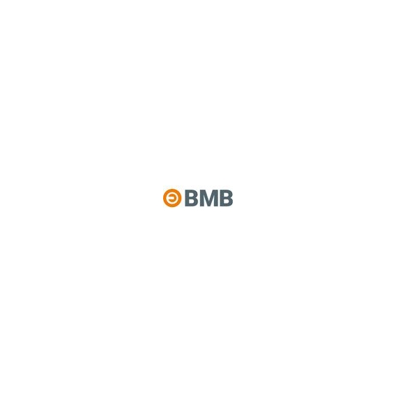 BMB Möbel-Drehstangenschloss System 600 verschiedenschließend Dorn 25 Stahl - 1371061000