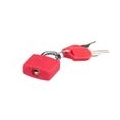 Master Lock Vorhängeschloss, Mini Kunststoffschlösser für Den Gepäckkoffer (inklusive 4 Schlüssel)   2er Pack, Rot & Blau