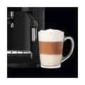 KRUPS EA81R870 Kaffeevollautomat ARABICA PICTO plus 14-tlg. Reinigungs- und Pflegeset