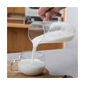 French Press Kaffeemaschine 16 Unzen Einfach zu reinigen und zu verwenden Kaffeekessel Kaffeekanne Milchaufschäumer für Tee Spar
