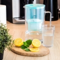 Glas Wasserfilter Wessper mint mit 4x Filterkartuschen KANNE & WASSERFILTER