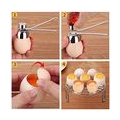 1 Stück Eierköpfer Edelstahl Shell Separator Remover Eierschneider Topper Schneidwerkzeug für harte und weiche Eier oder rohe Hü