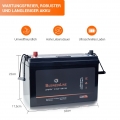 LiFePO4 Akku 100Ah / 12V mit BMS (Batterie Management System), Bluetooth:mit Bluetooth / 100A Dauerstrom