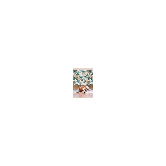 Magnet Heizkörper Heizkörper-Abdeckung Heizkörperabdeckung 100x60 cm  - Aquarell, Vögel